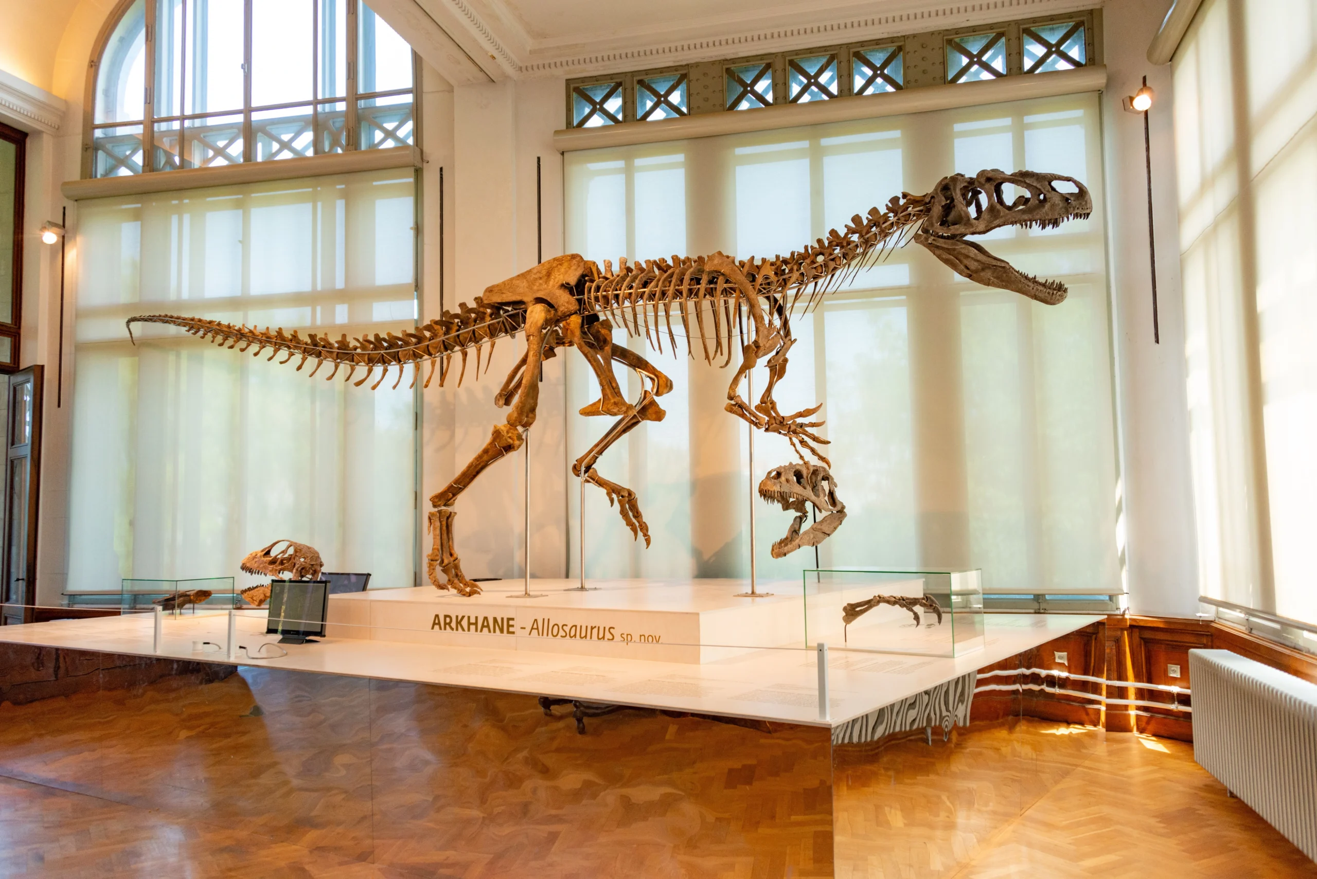 Natural History Museum