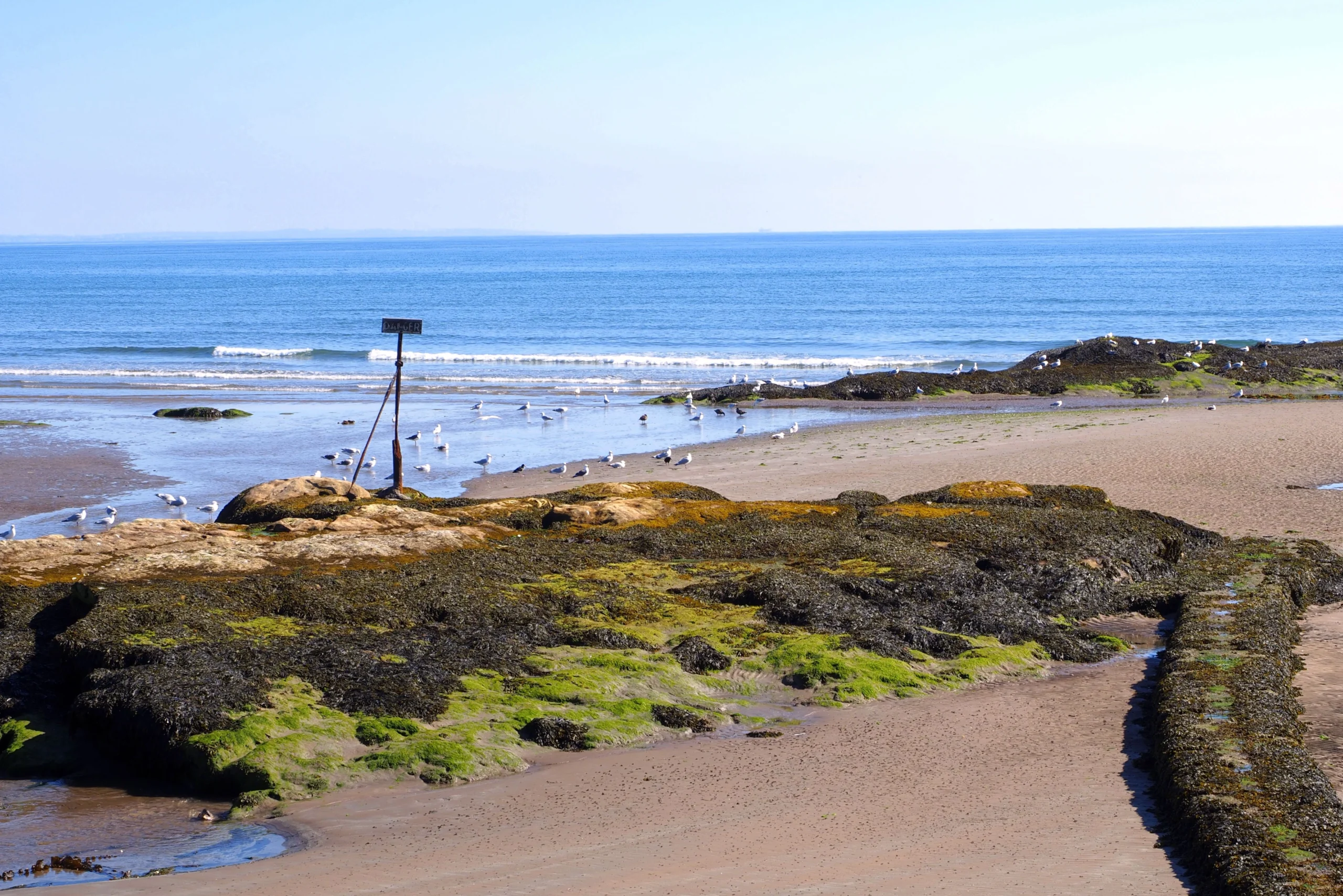 Bamburgh Beach