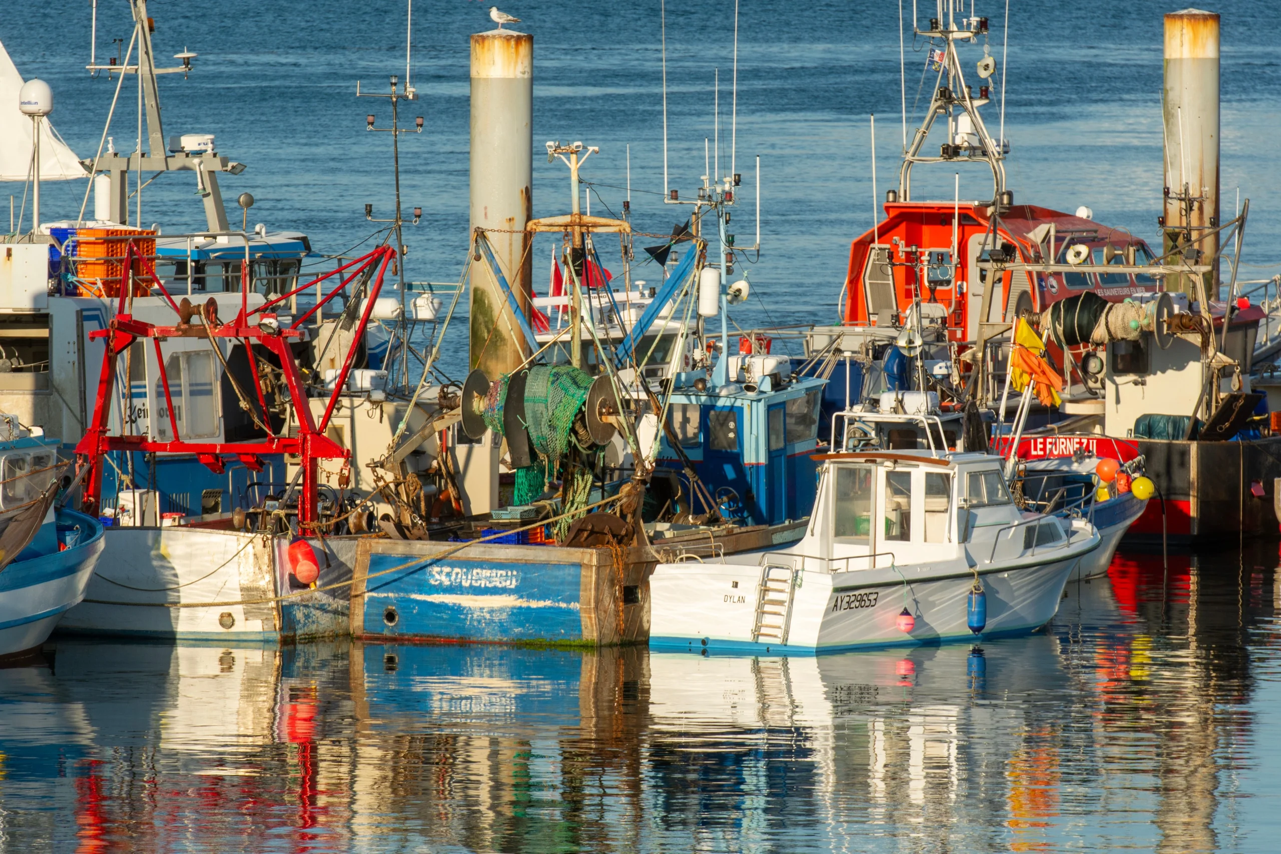 seahouses 