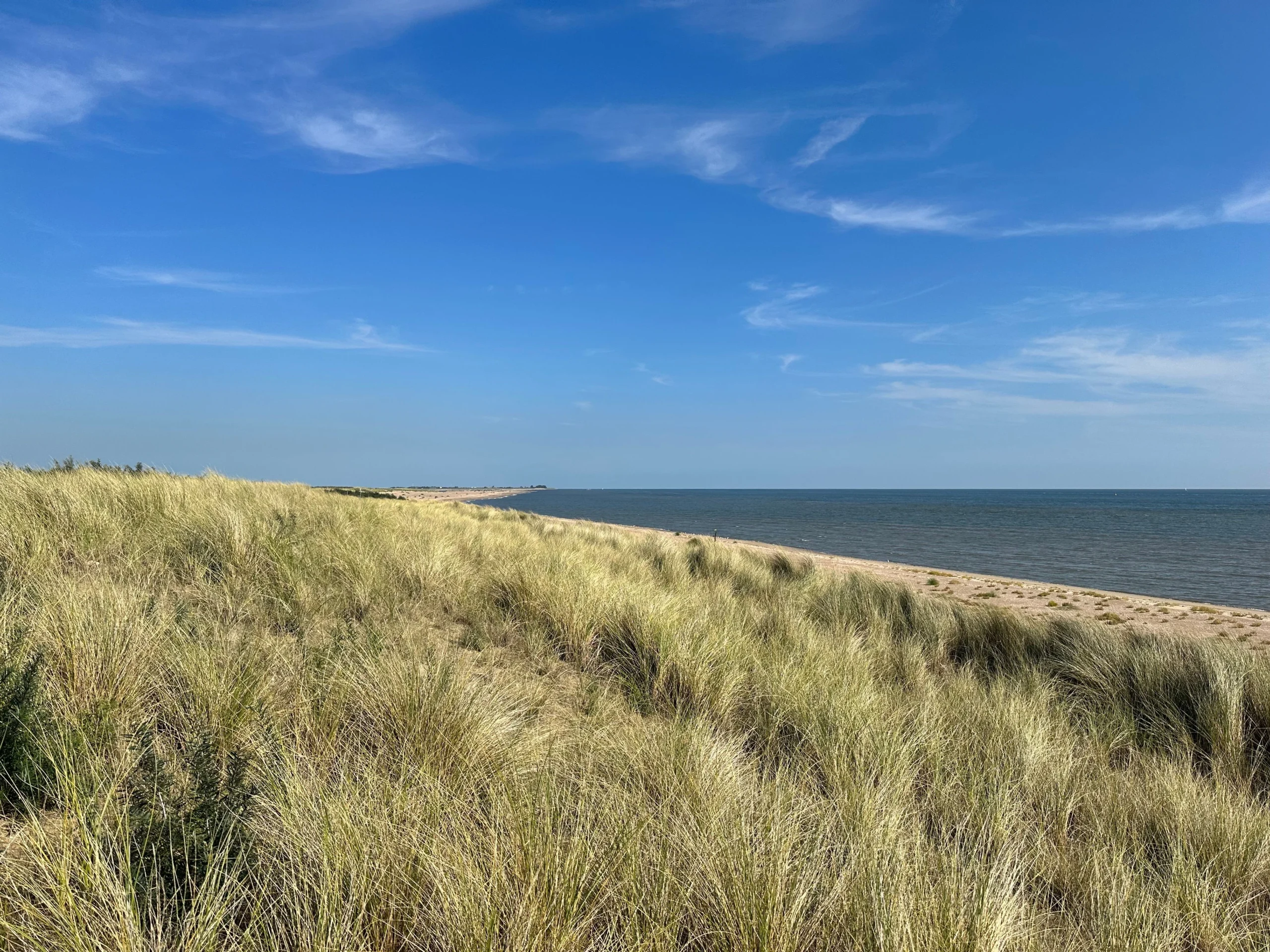 holkham beach
