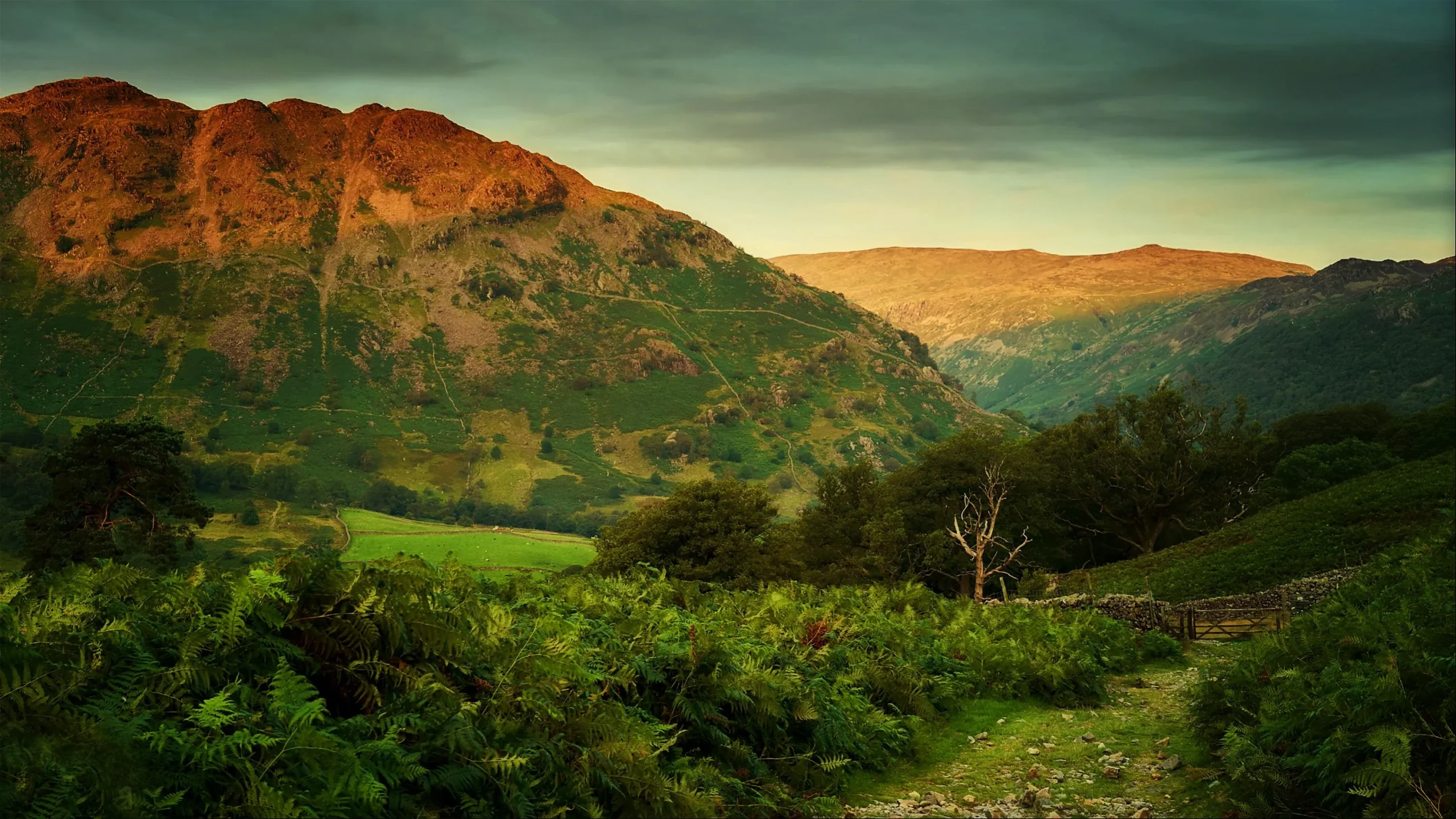 BORROWDALE