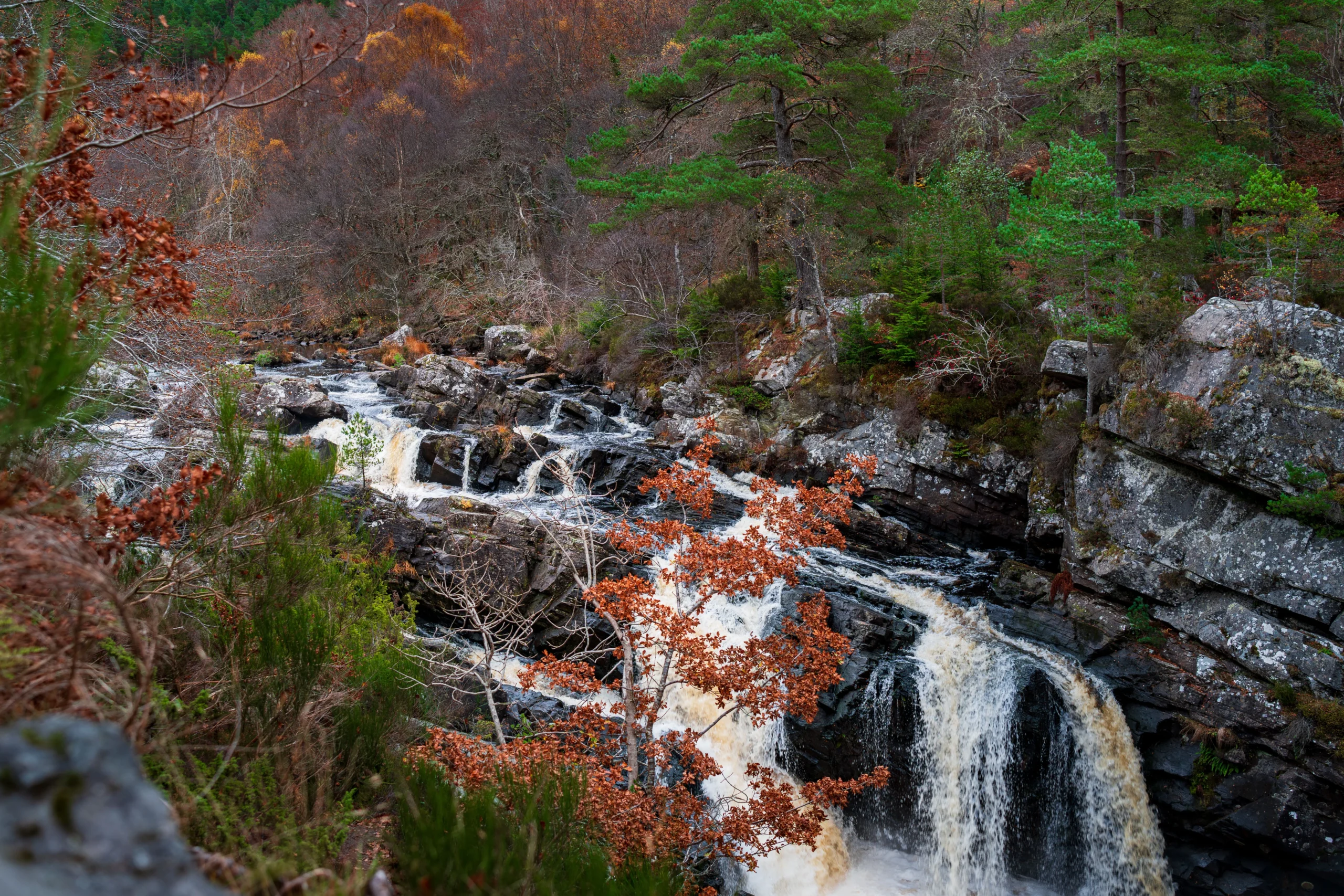 Falls of Foyers, Scotland