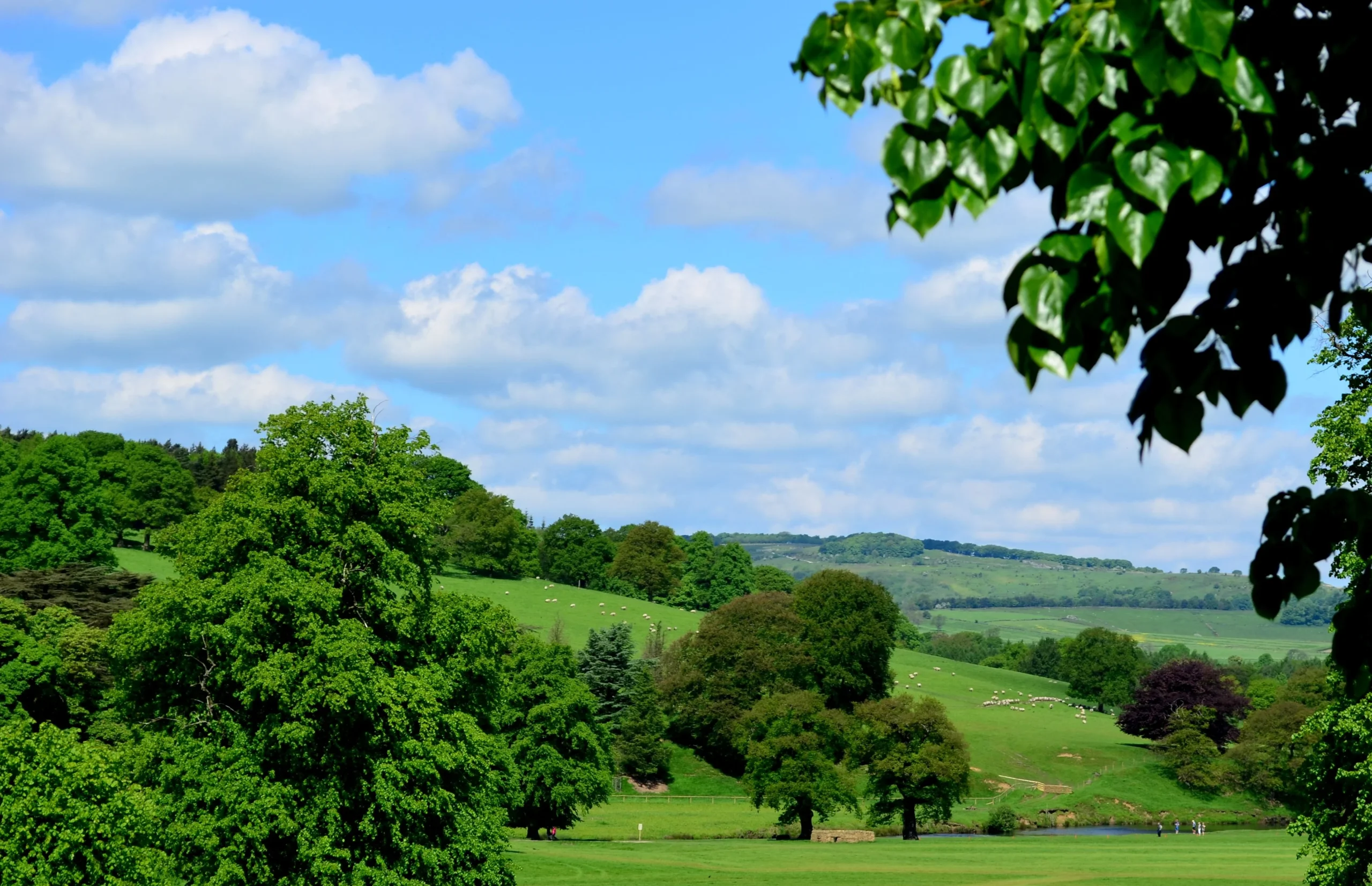 Escape to the Countryside
