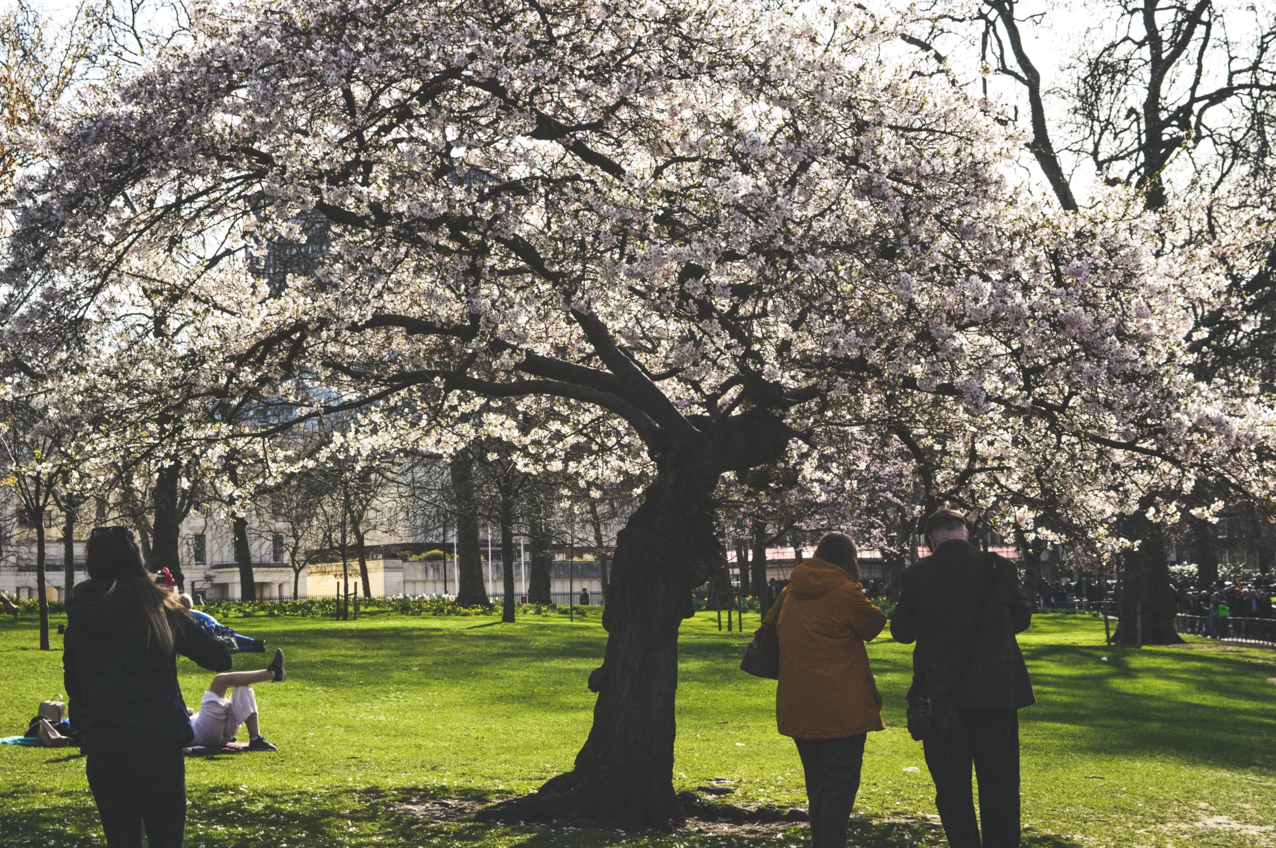 Best Parks in London