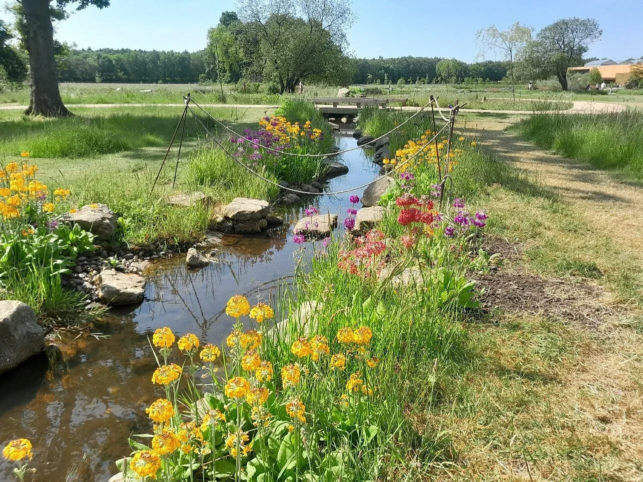 RHS Garden Bridgewater