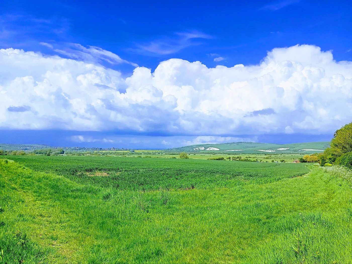 South Downs National Park