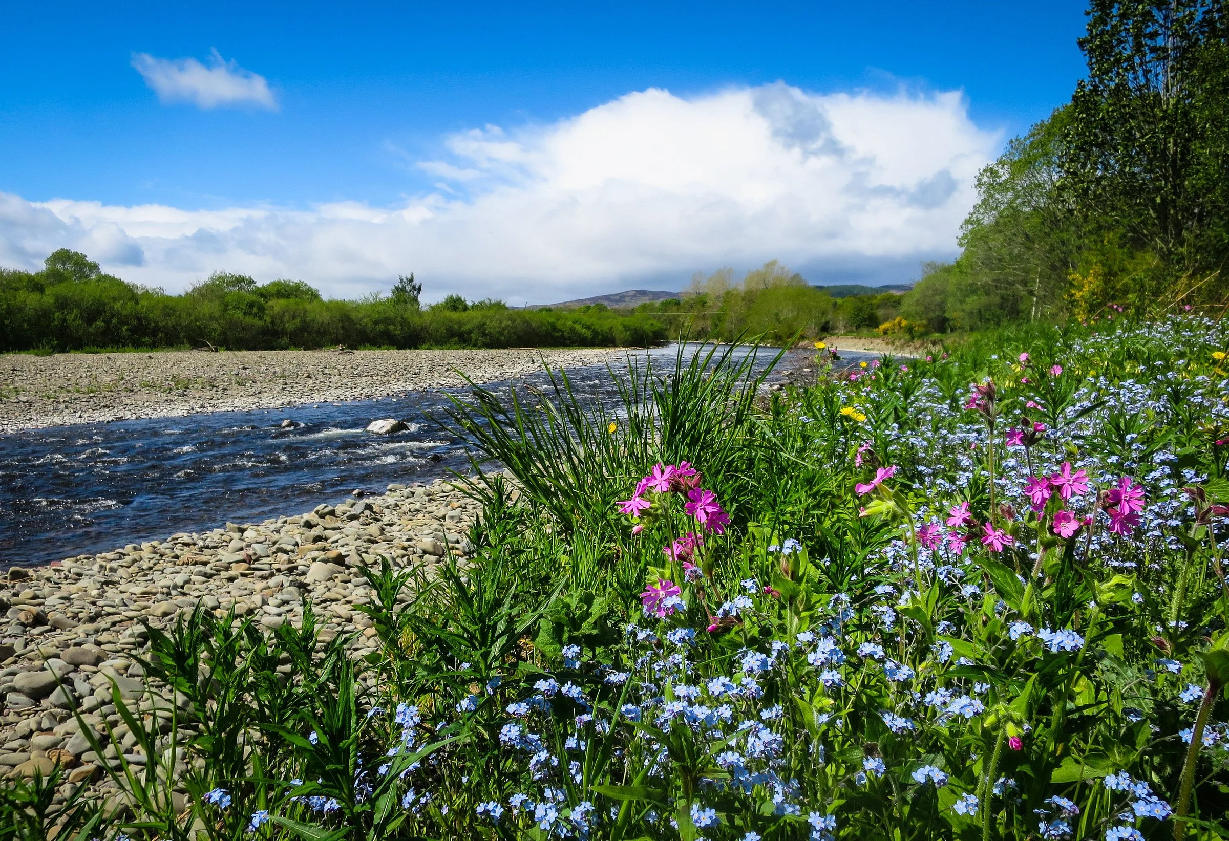 Scottish Borders