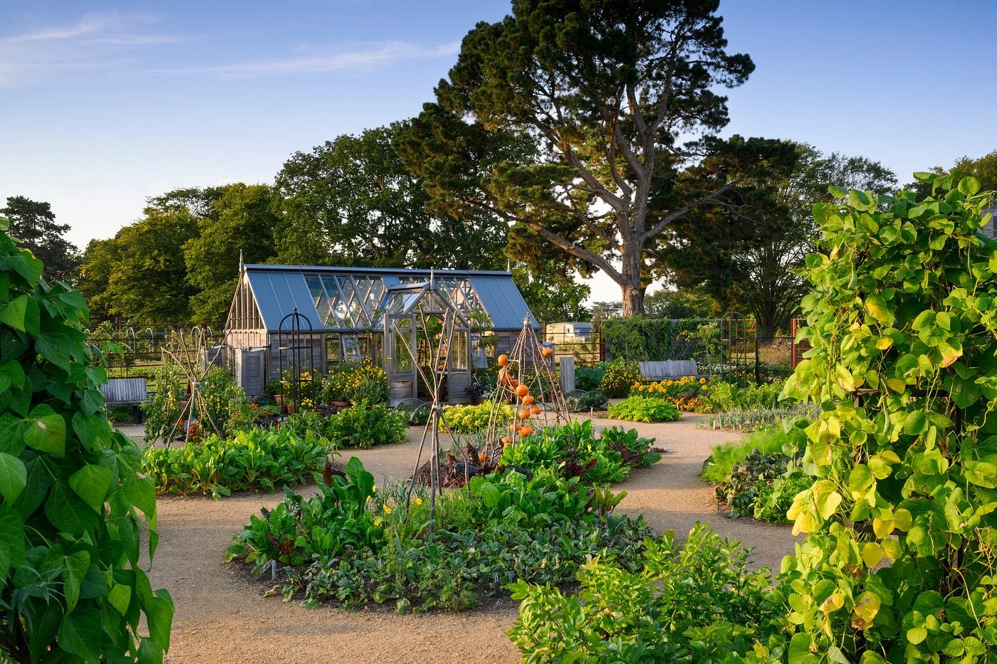RHS Garden Wisley