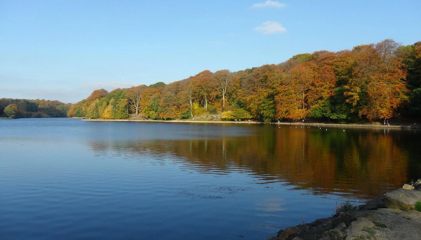 Roundhay Park