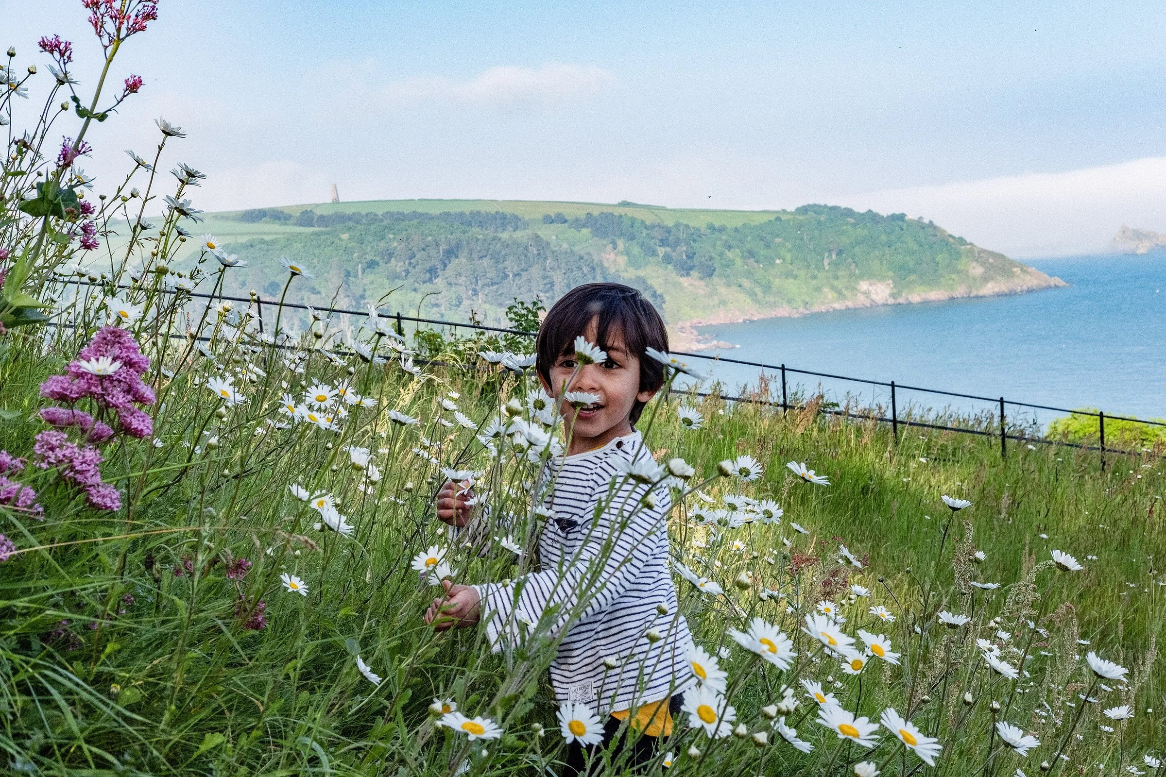 Devon