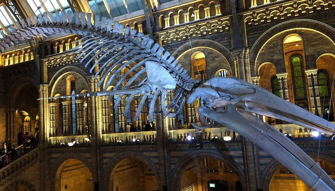 Natural History Museum