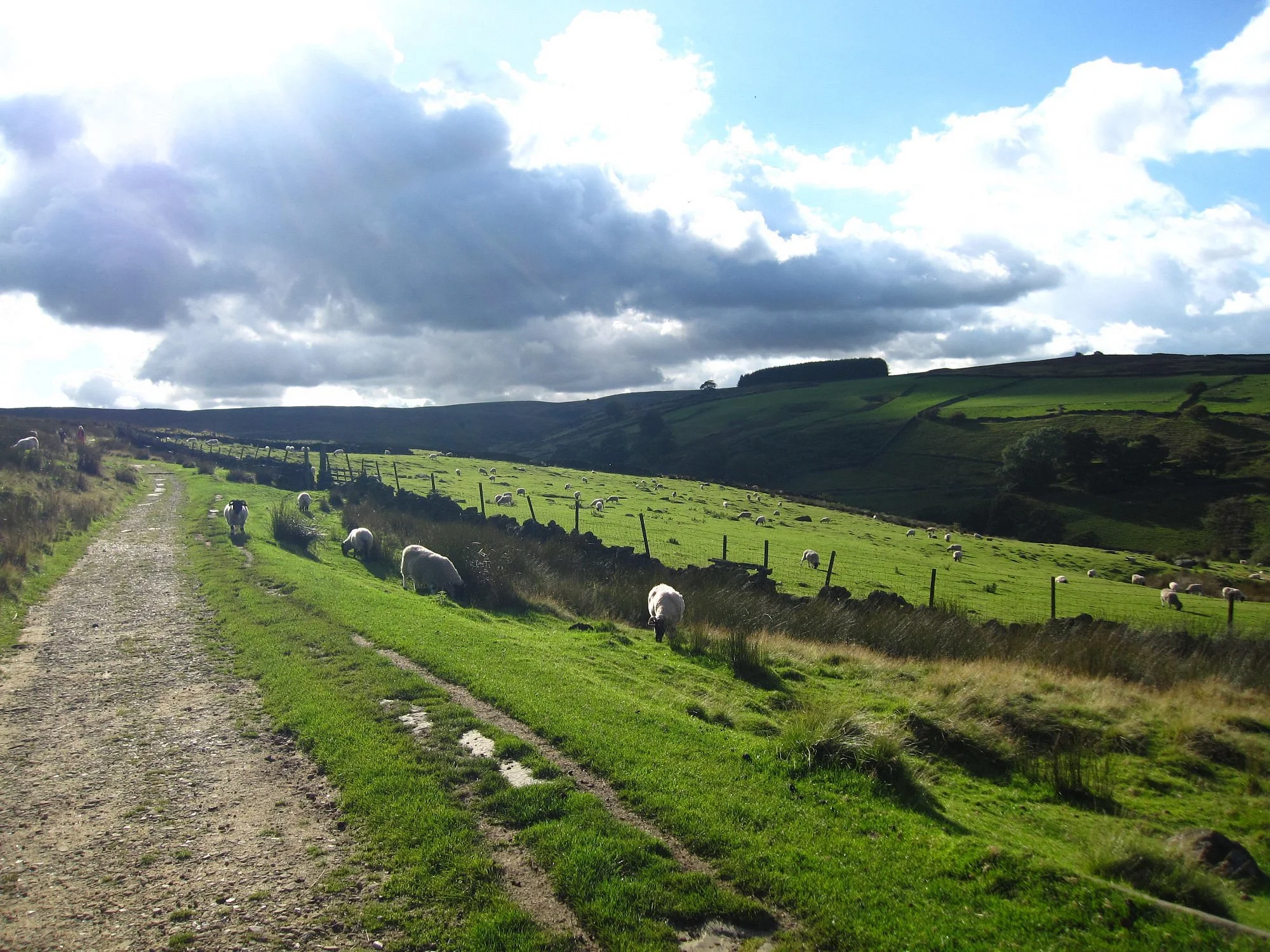 Haworth