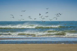 best beaches in england