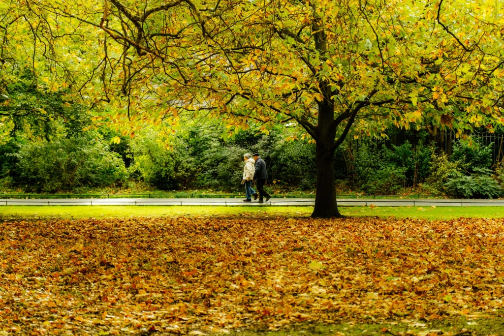 Autumn in liverpool