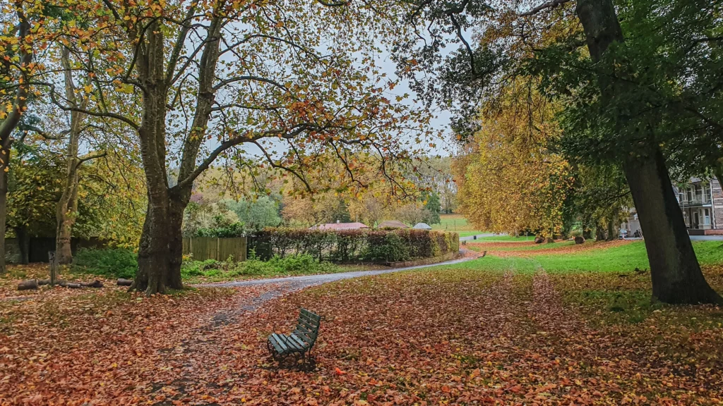 Autumn in durham