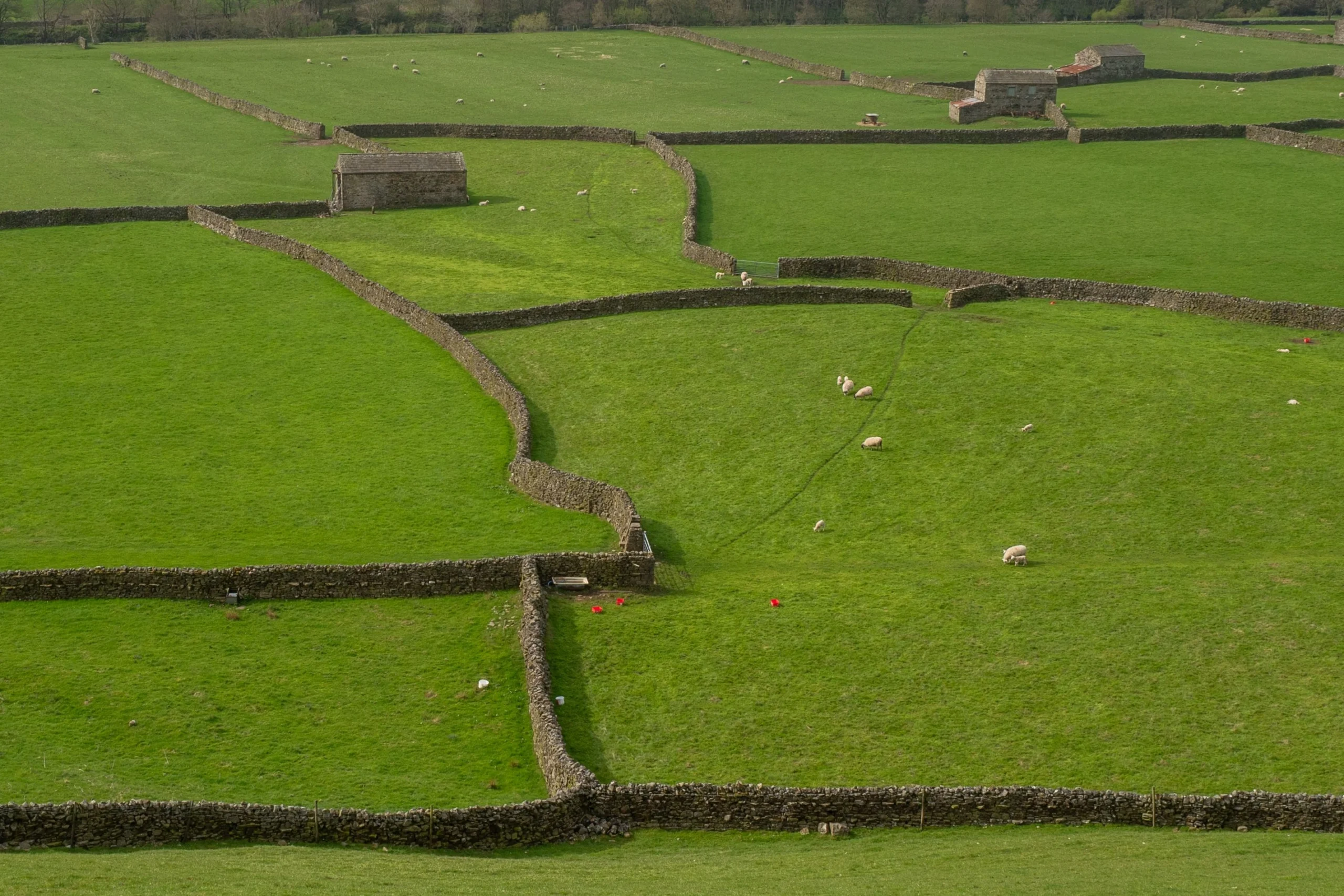Hadrian's Wall