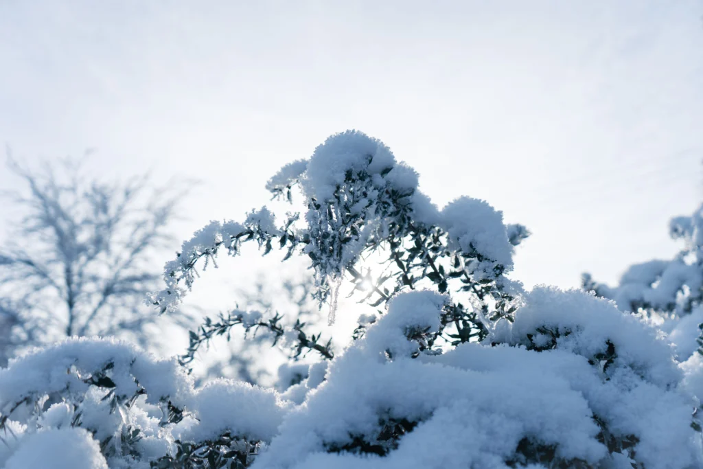 Discover Cornwall in Winter