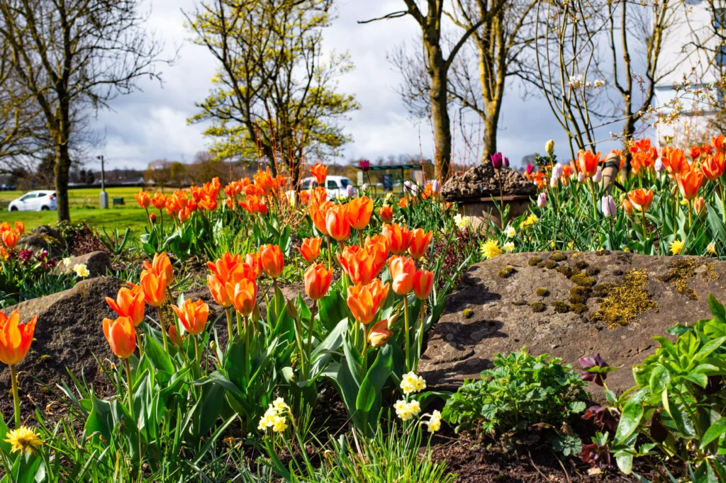 spring in durham
