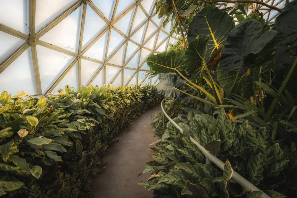 The Eden Project