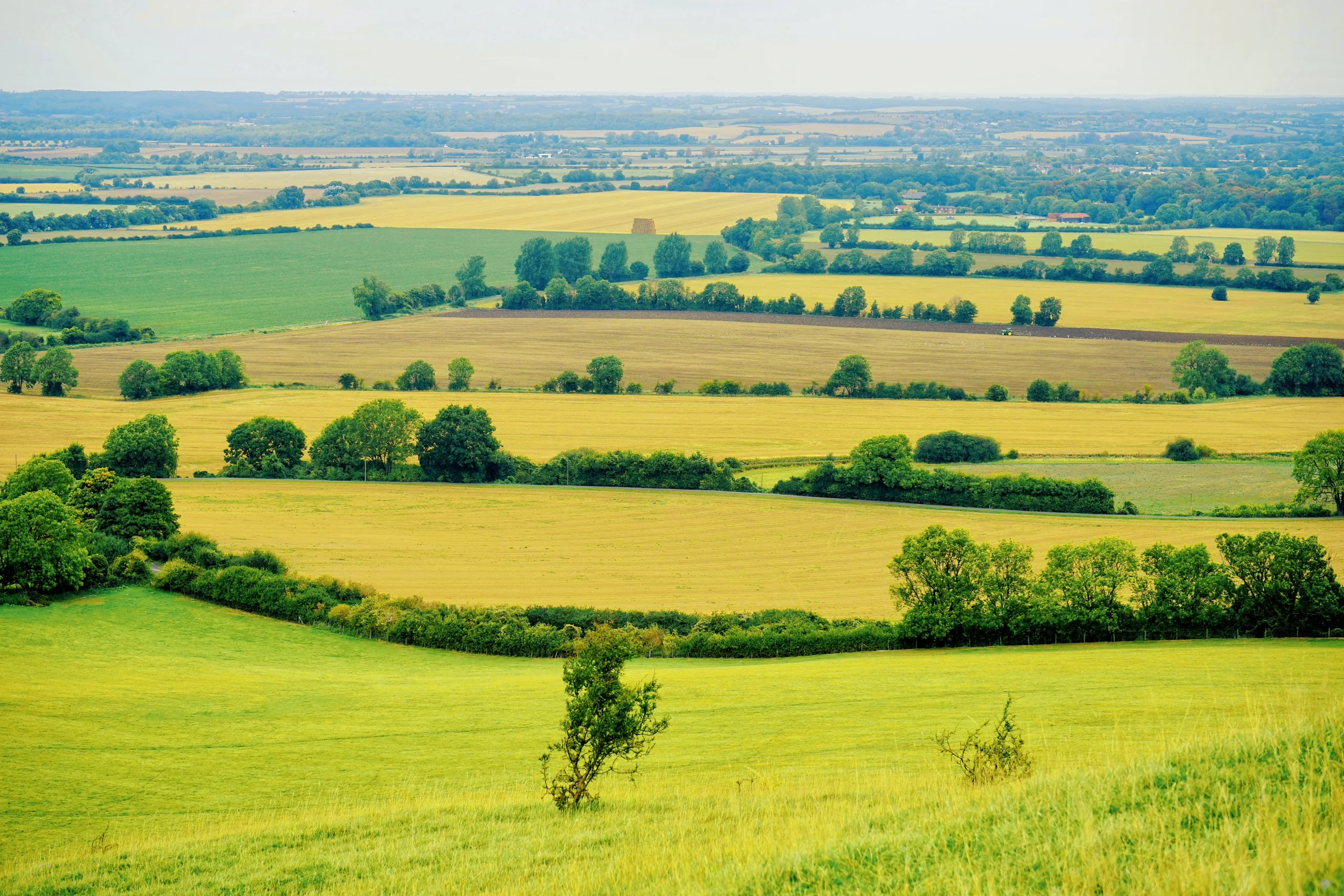 Warwickshire Countryside