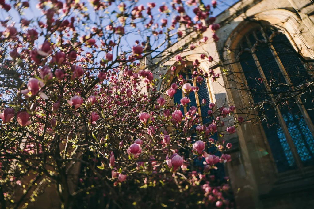 spring in coventry