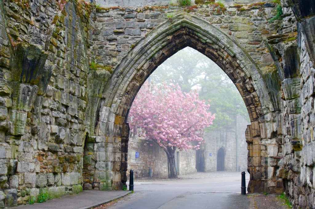spring in york