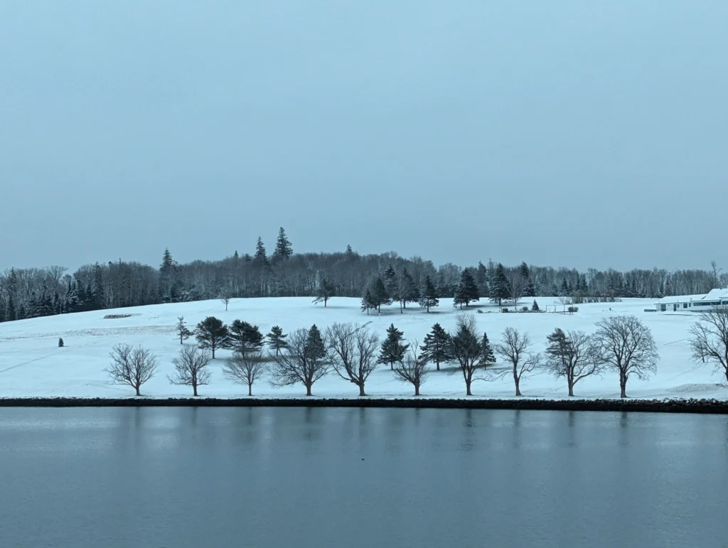 winter in dundee