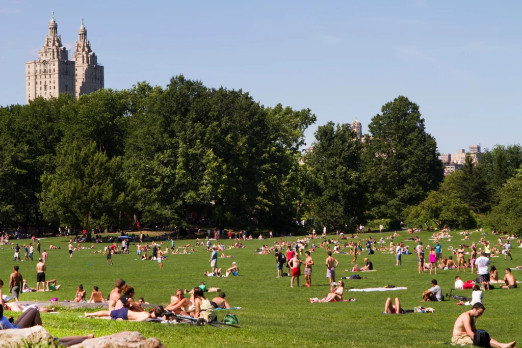 summer in york