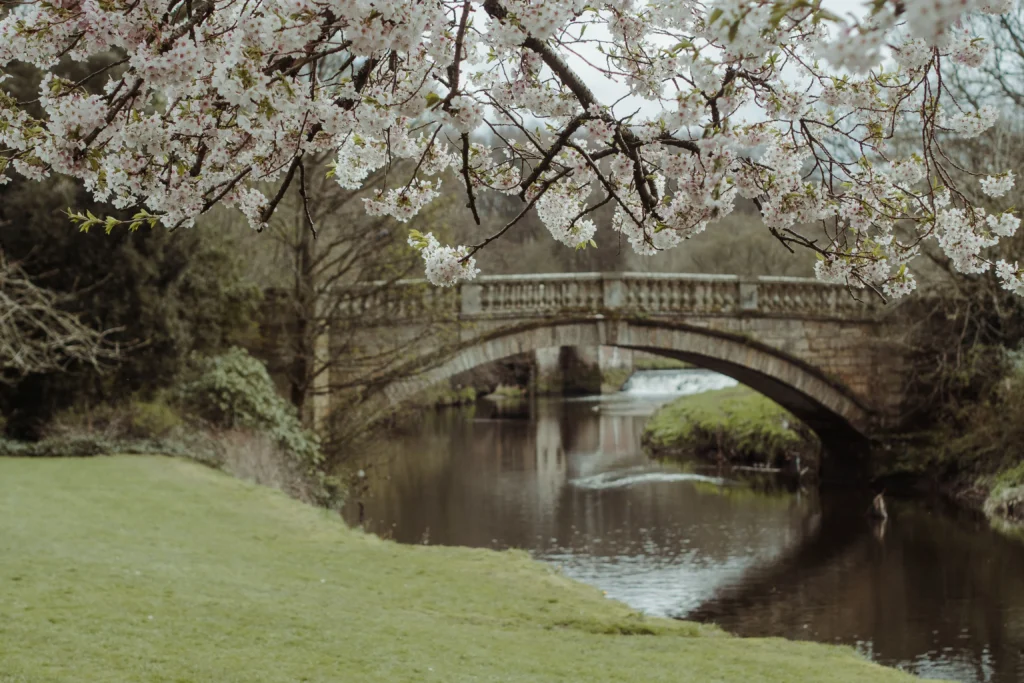 spring in chester
