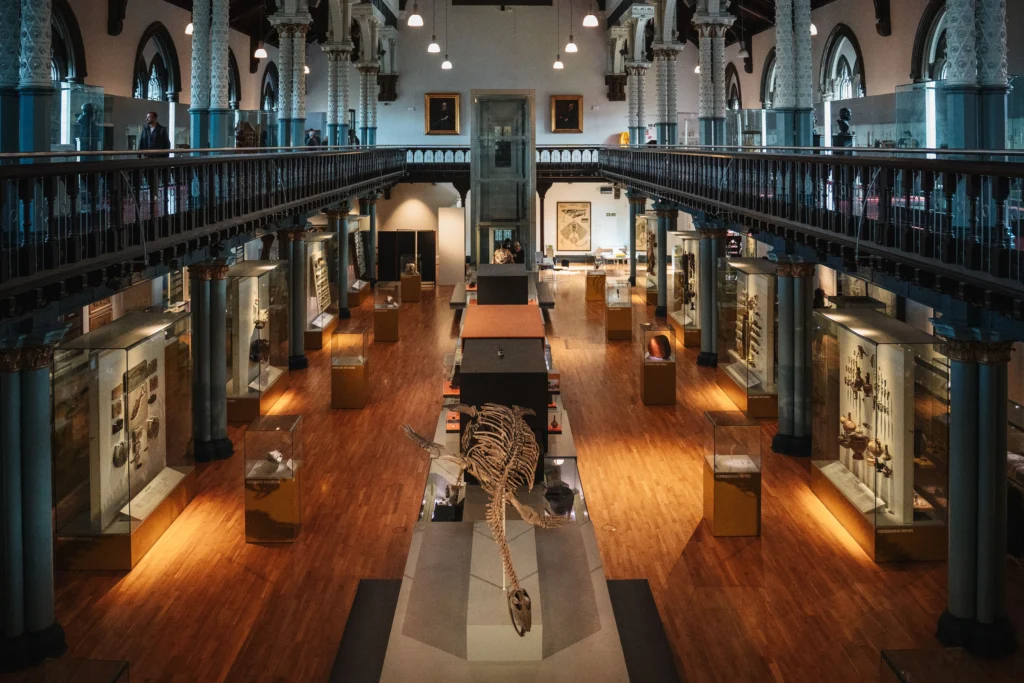 Grosvenor Museum