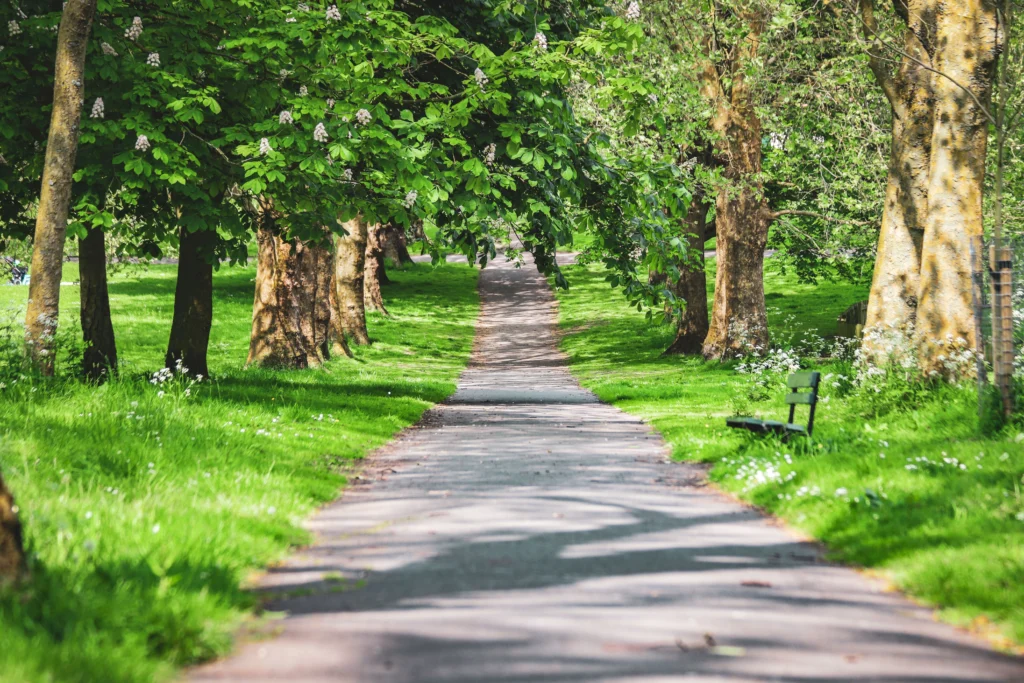 Explore Parks, Gardens and Historic Neighborhoods