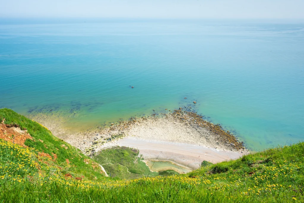 spring in isle of wight