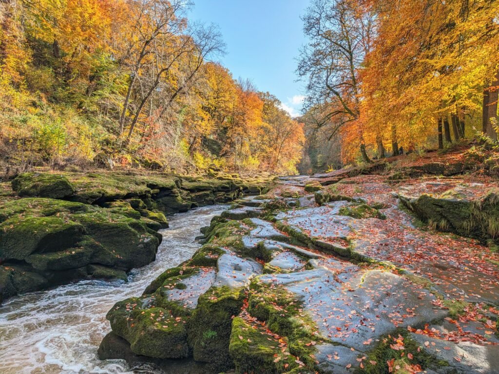 autumn in peak district