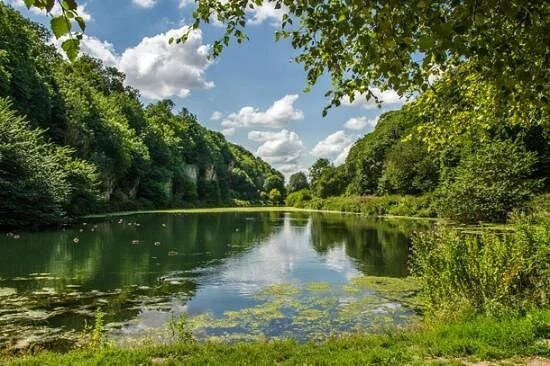 Sherwood Forest