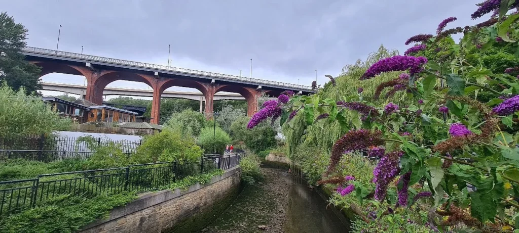 Ouseburn Valley