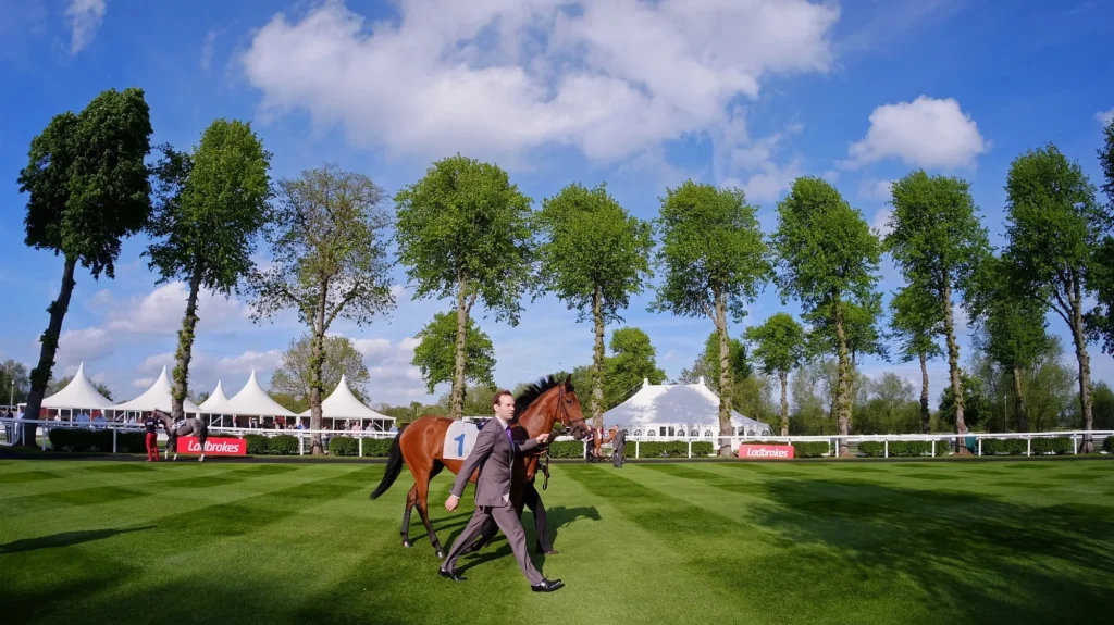 Windsor Royal