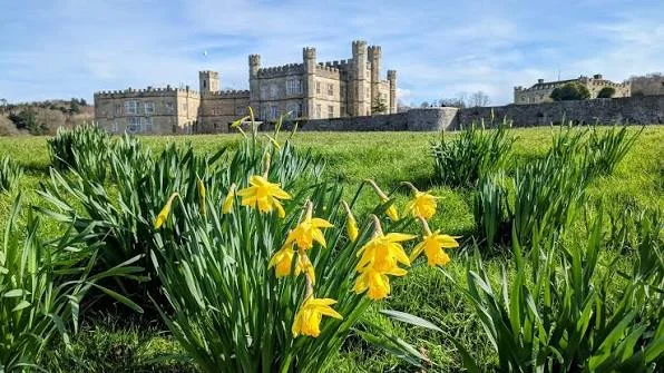 Spring in leeds