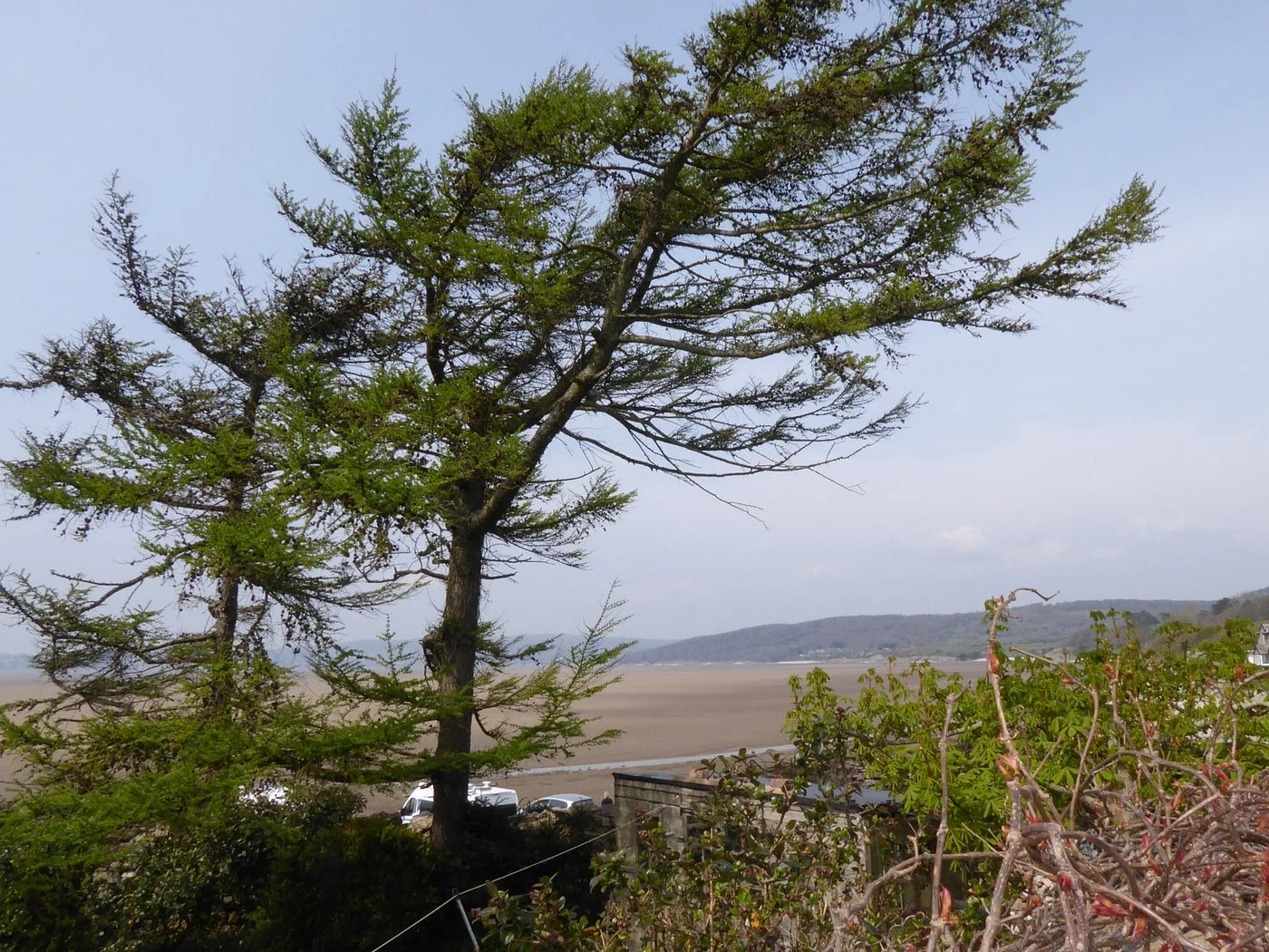 Silverdale