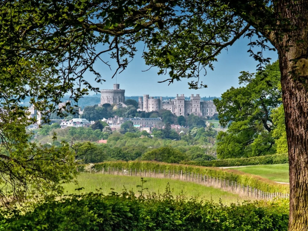 Windsor