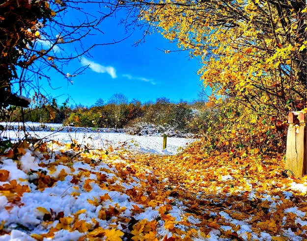 Autumn in nottingham