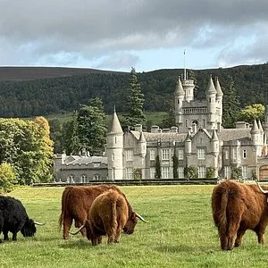 ELLON