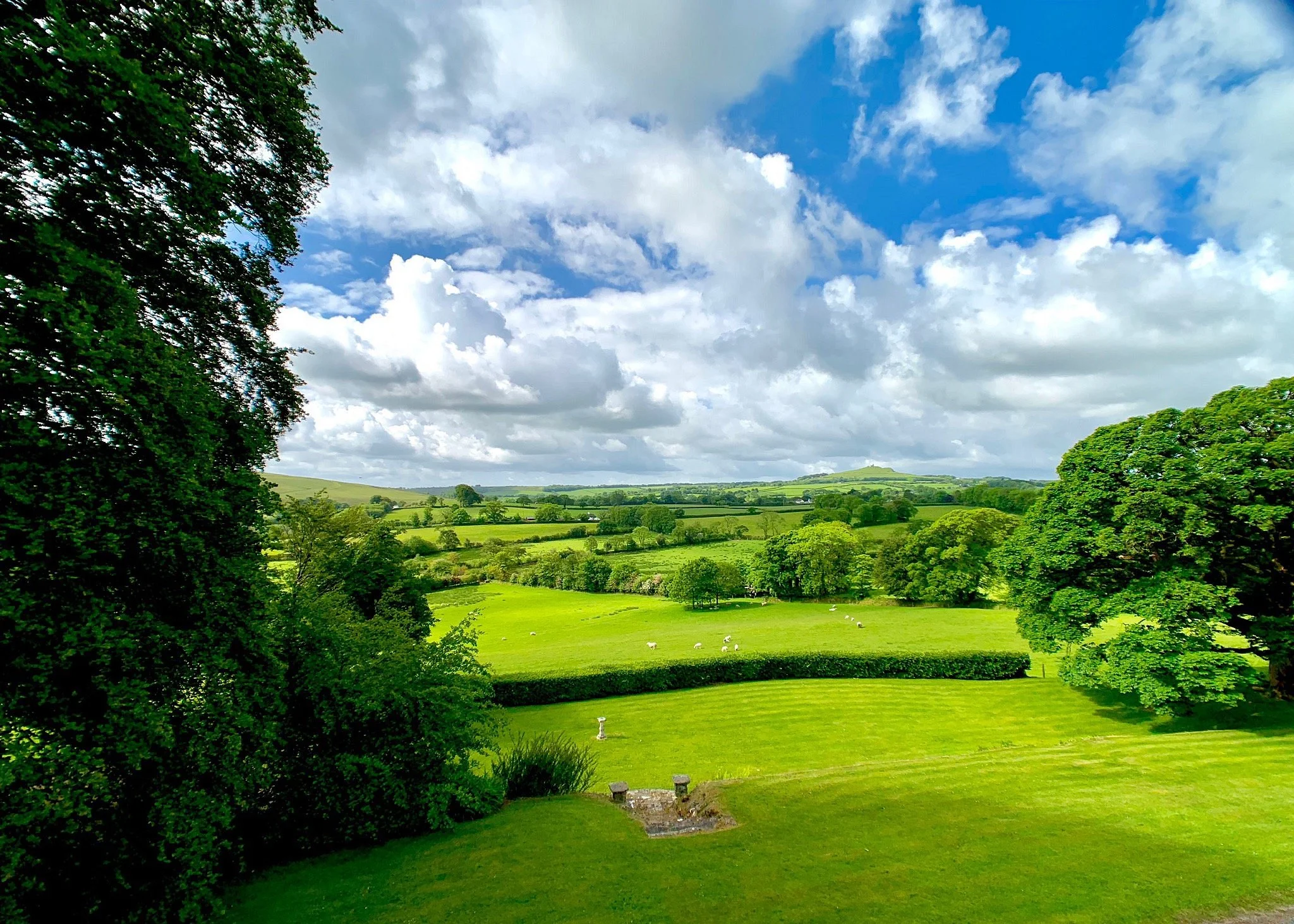 Tavistock