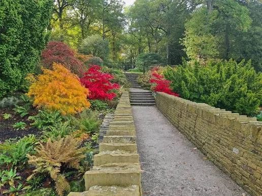 Autumn in leeds