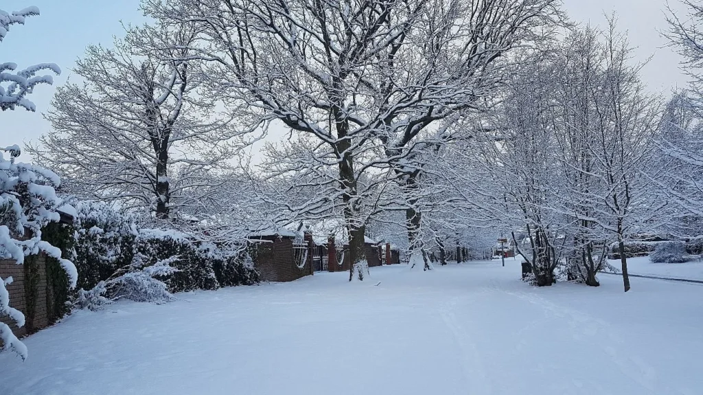 Colchester