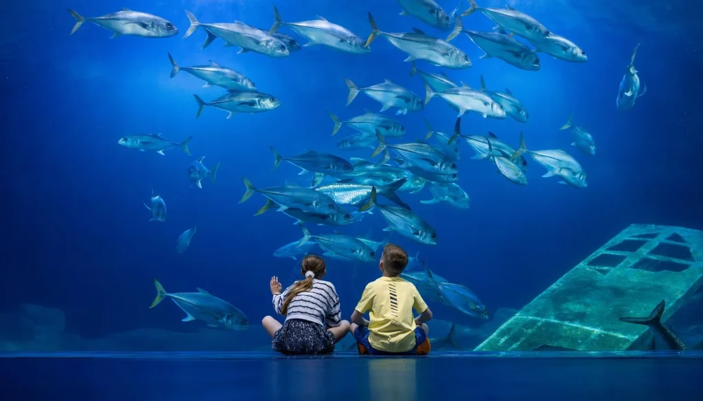 National Marine Aquarium