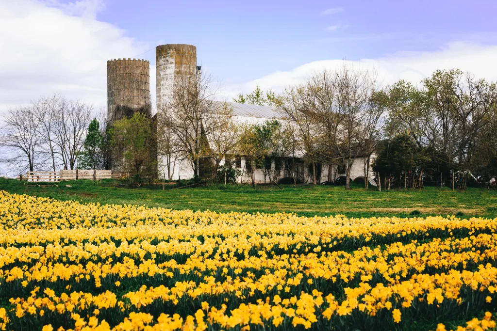 Spring in Lancaster