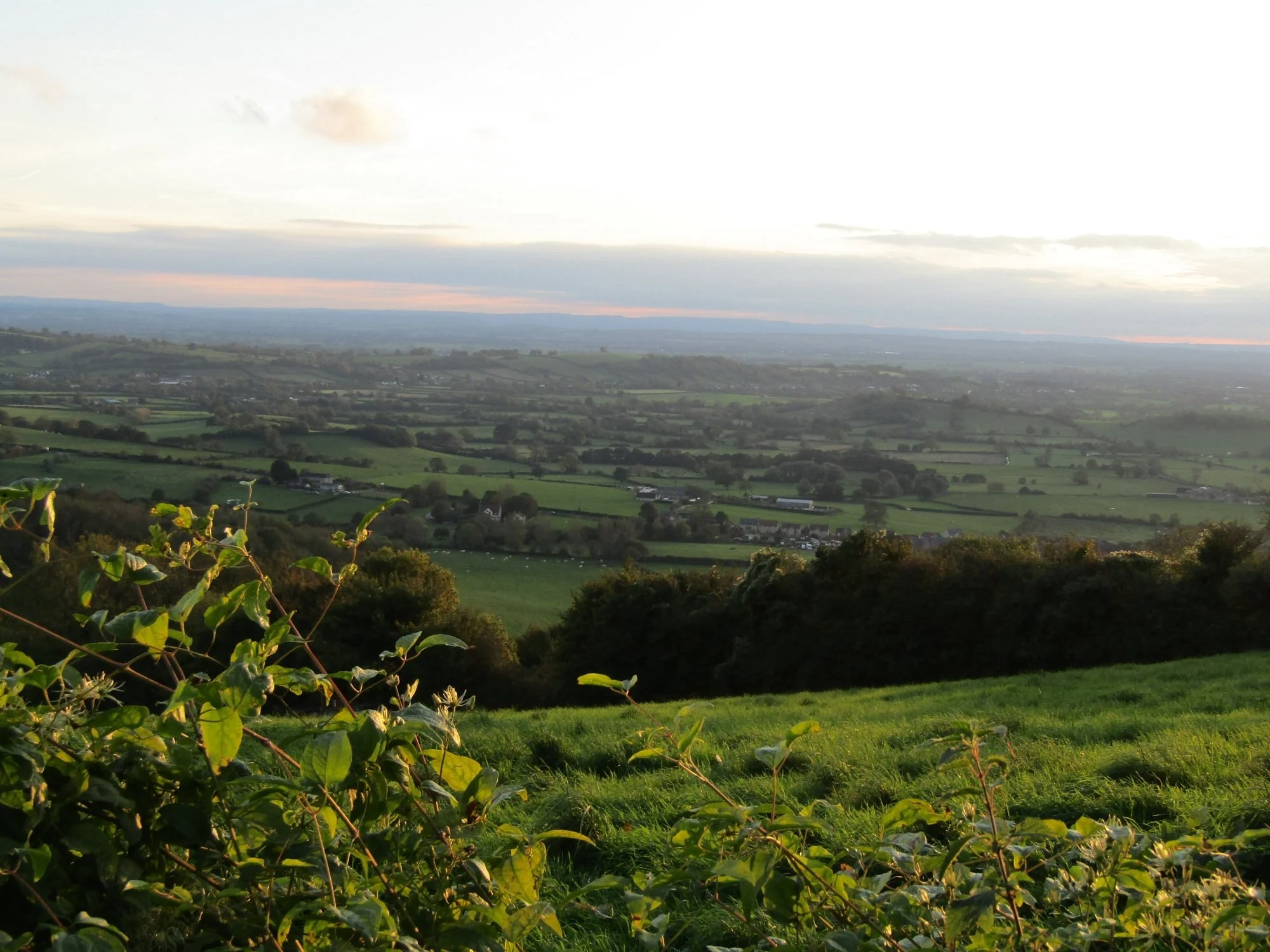 Mendip Hills
