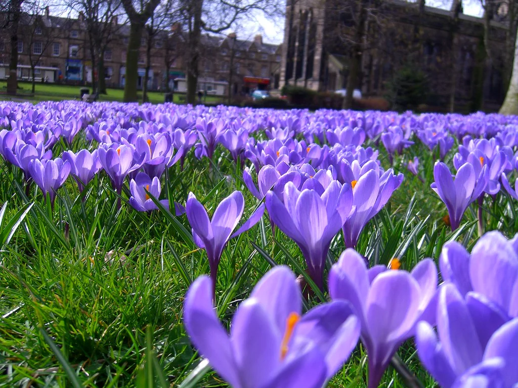 spring in newcastle upon tyne