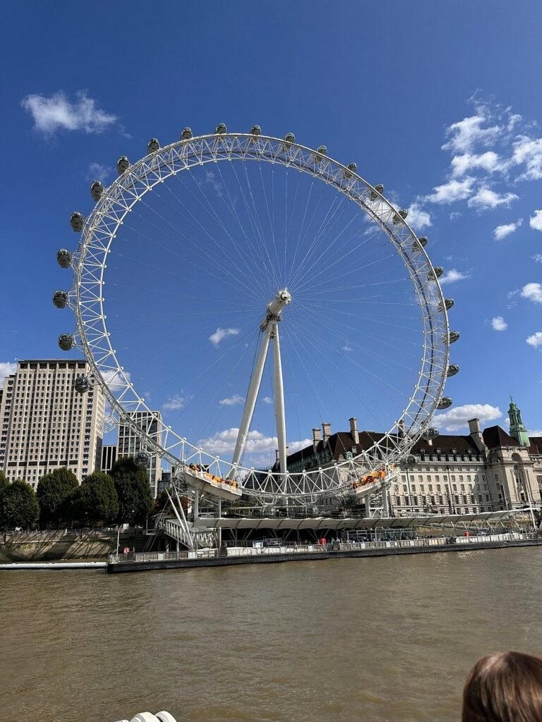 london-eye (2)