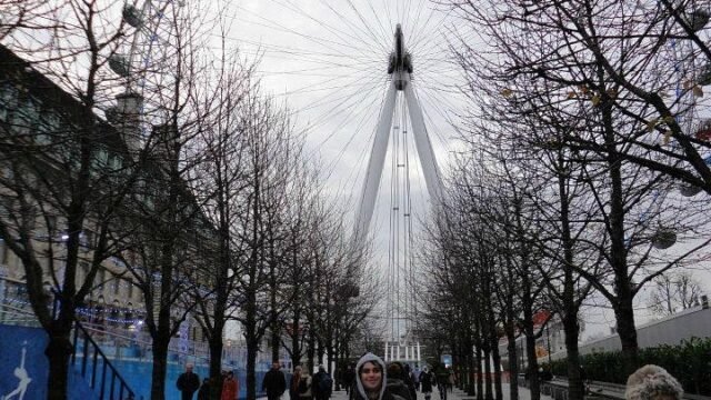london-eye (3)
